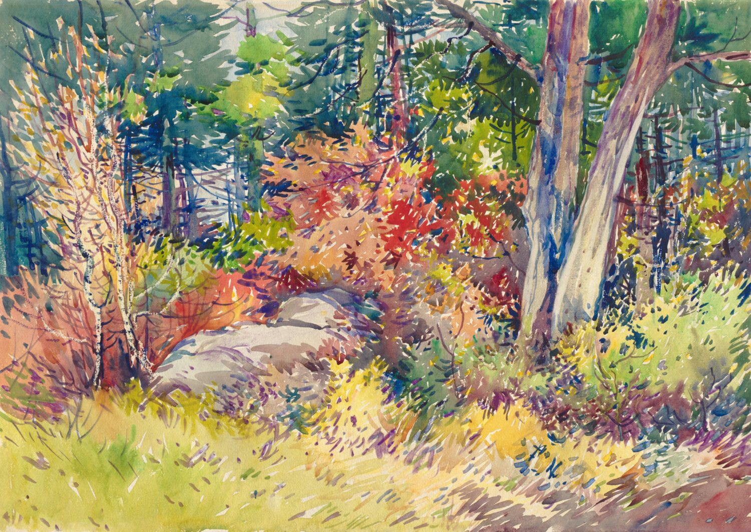Nature and watercolors 