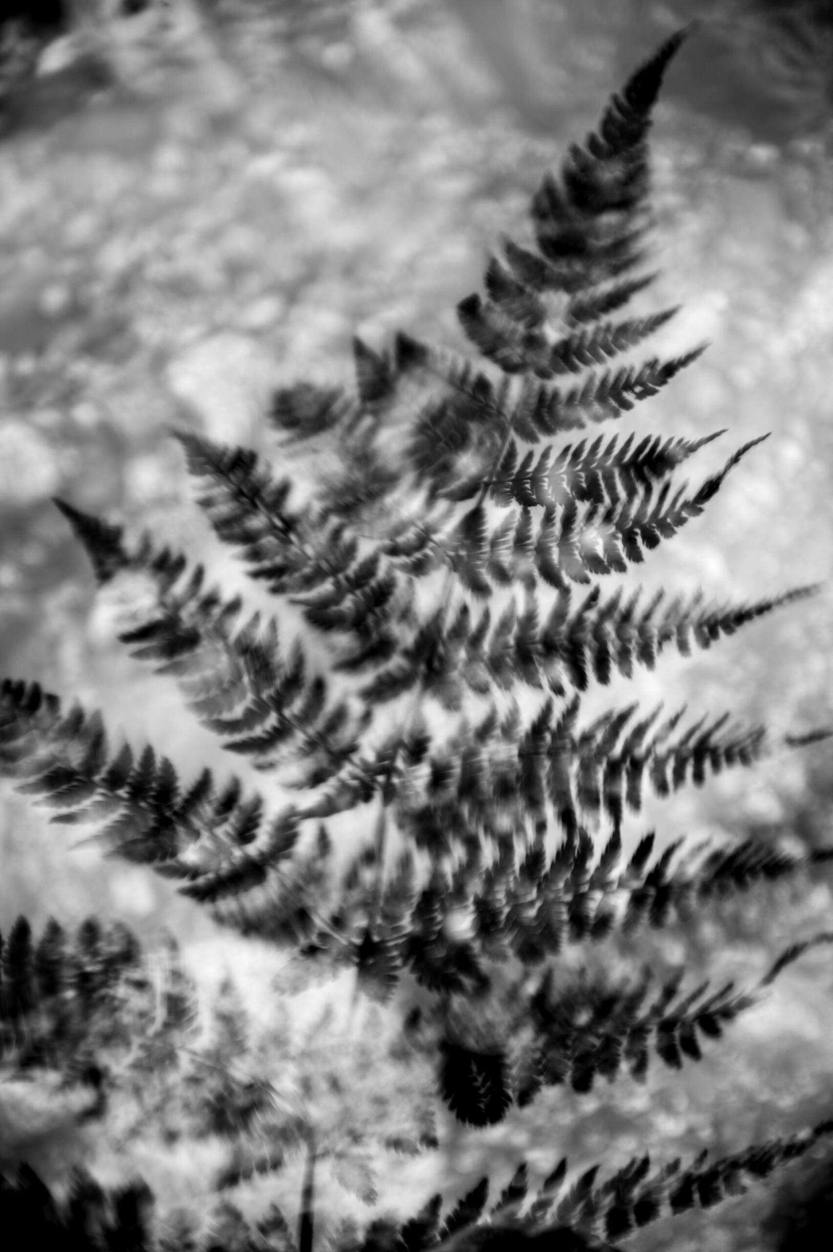 “Grief and Growth”
