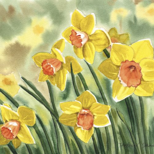 T.K. Shannon - Tayler K Shannon, Daffodils, full-size to upload